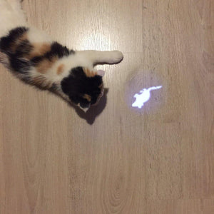 Amazingly Cat Toy Creative and Funny Pet Cat Toys LED Pointer light Pen With Bright Animation Mouse