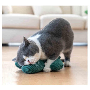 Cactus Catnip Cat Toy Pet Plush Chew Dog Toys Teeth Grinding Chewing Durable Tug Fetch Bite Toys for Small Medium Large Cat Dogs