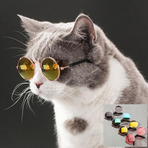 Pet Cat Glasses Dog Glasses Pet Products for Little Dog Cat Eye Wear Dog Sunglasses Photos Props Accessories Pet Supplies Toy